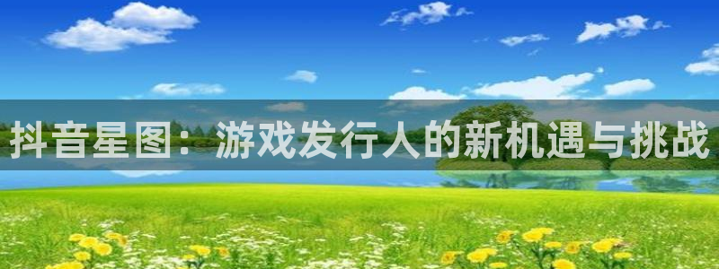 新城平台是干嘛的公司有哪些