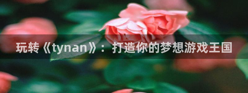 新城平台记7O777
