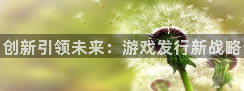 新城平台登录密码忘了