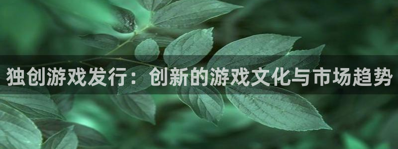 新城平台是干嘛的