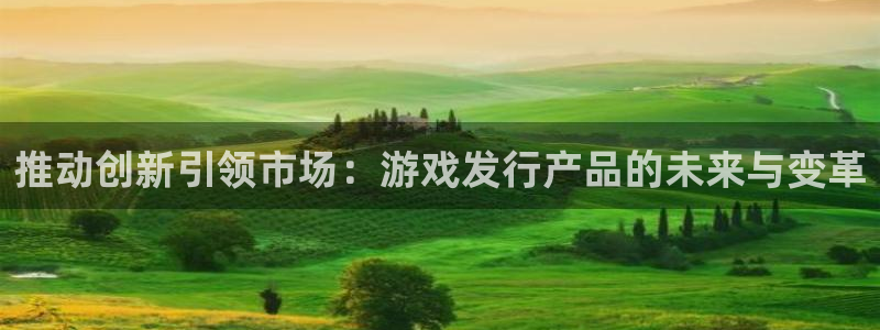 新城平台平台最新活动