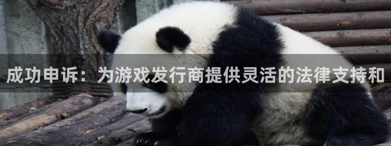 新城平台平台最新活动信息
