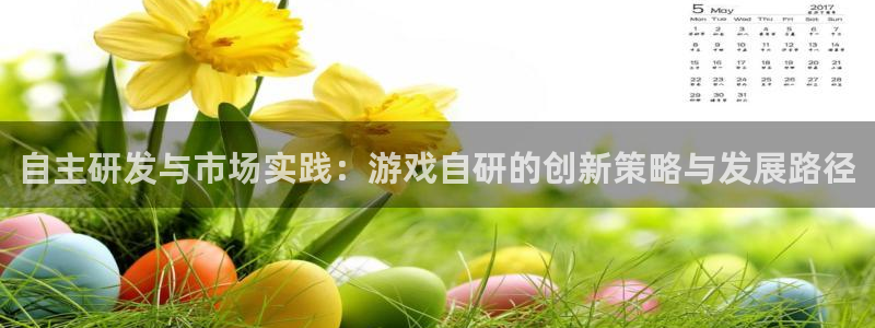 新城平台线路登录不上去