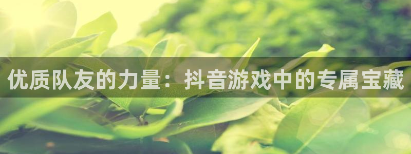 新城平台注册流程图