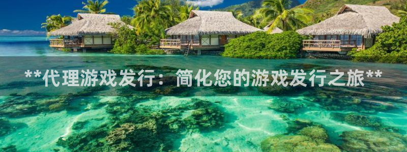 新城平台登录入口官网查询信息：**代理游戏发行：简化您的游戏发行之旅**