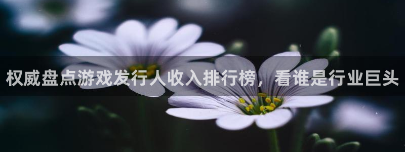 新城平台注册流程视频：权威盘点游戏发行人收入排行榜，看谁是行业巨头