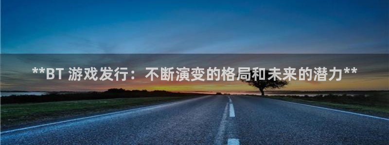 新城平台是干嘛的公司啊：**BT 游戏发行：不断演变的格局和未来的潜力**