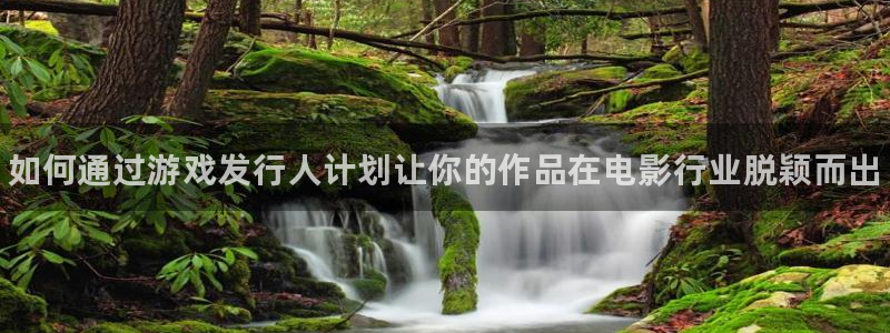 新城平台负责人