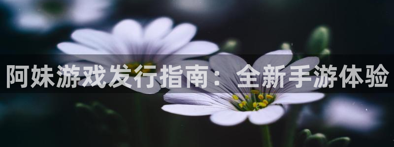 新城平台登录密码忘了：阿妹游戏发行指南：全新手游体验