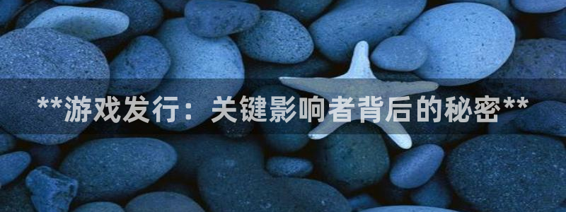 新城平台登录密码忘了怎么找回：**游戏发行：关键影响者背后的秘密**