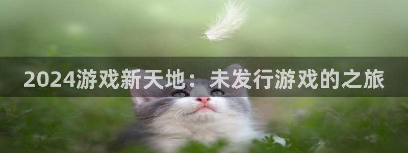 新城平台致7O777：2024游戏新天地：未发行游戏的之旅