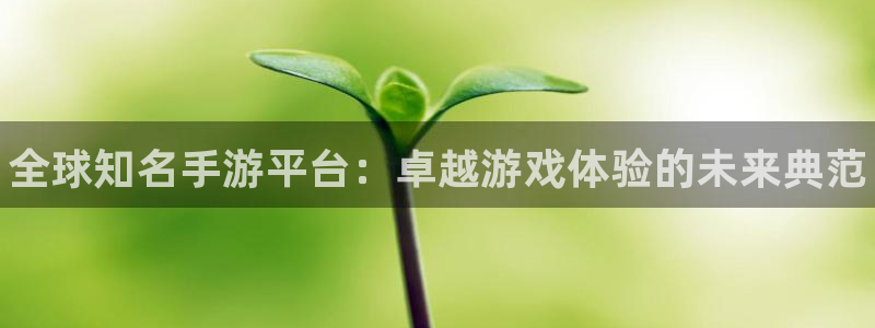 新城平台新注册：全球知名手游平台：卓越游戏体验的未来典范