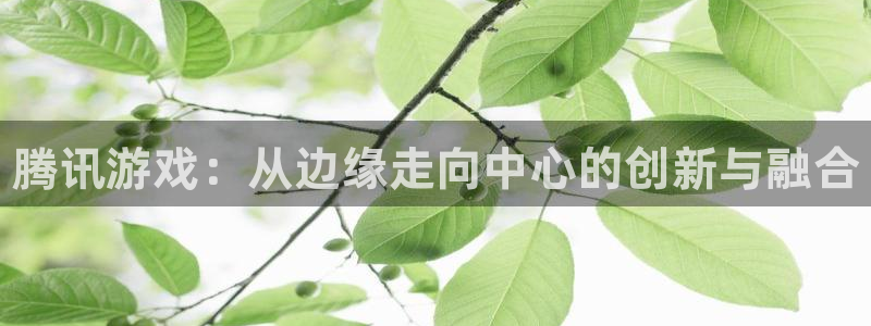新城平台登录密码忘了怎么办：腾讯游戏：从边缘走向中心的创新与融合