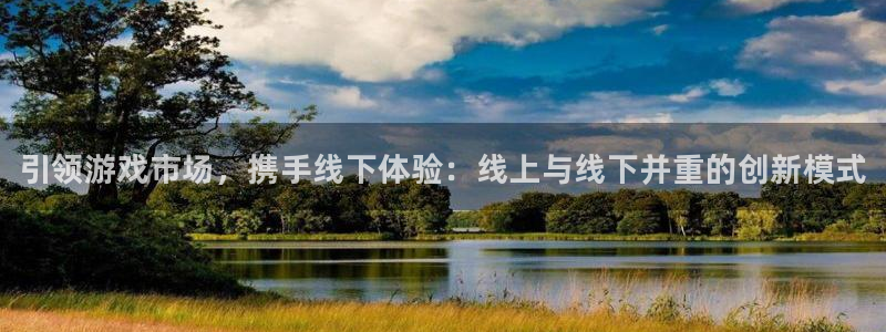 新城平台注册网址查询：引领游戏市场，携手线下体验：线上与线下并重的创新模式