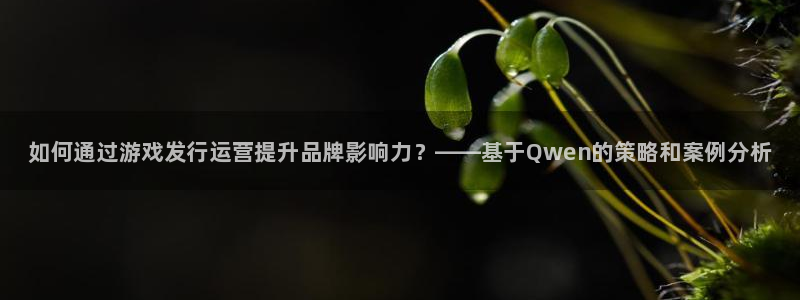 新城平台属于哪个系列：如何通过游戏发行运营提升品牌影响力？——基于Qwen的策略和案例分析