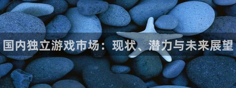 新城平台注册公司流程及费用