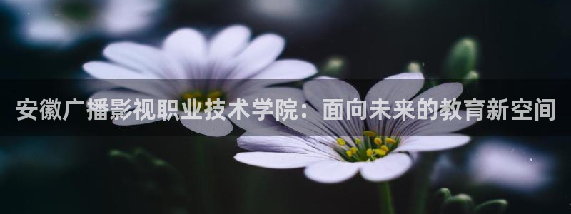 悟空视频：安徽广播影视职业技术学院：面向未来的教育新空间