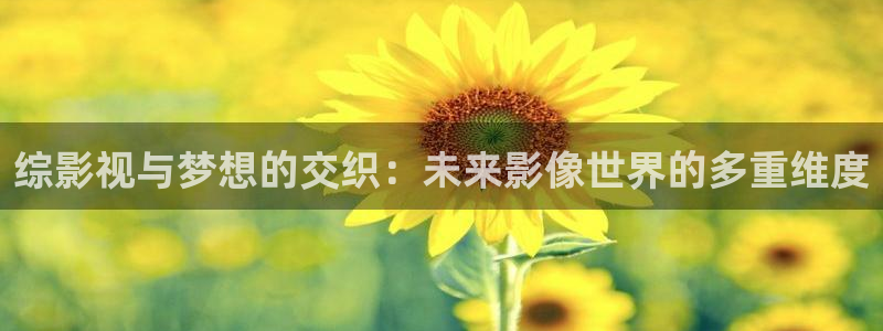 悟空免费观看：综影视与梦想的交织：未来影像世界的多重维度