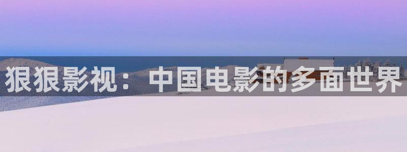 串珠孙悟空视频教程：狠狠影视：中国电影的多面世界
