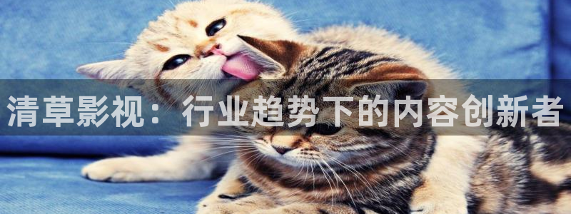 孙悟空的烦死了视频：清草影视：行业趋势下的内容创新者