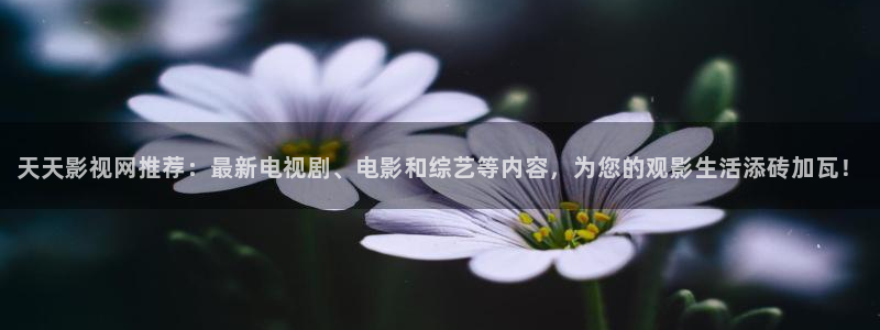 www悟空tv：天天影视网推荐：最新电视剧、电影和综艺等内容，为您的观影生活添砖加瓦！