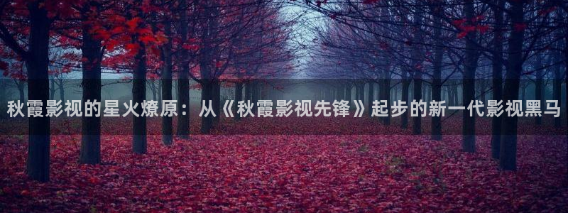 黑化悟空视频：秋霞影视的星火燎原：从《秋霞影视先锋》起步的新一代影视黑马