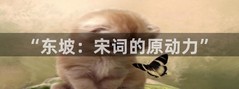 悟空免费观看在线完整版：“东坡：宋词的原动力”